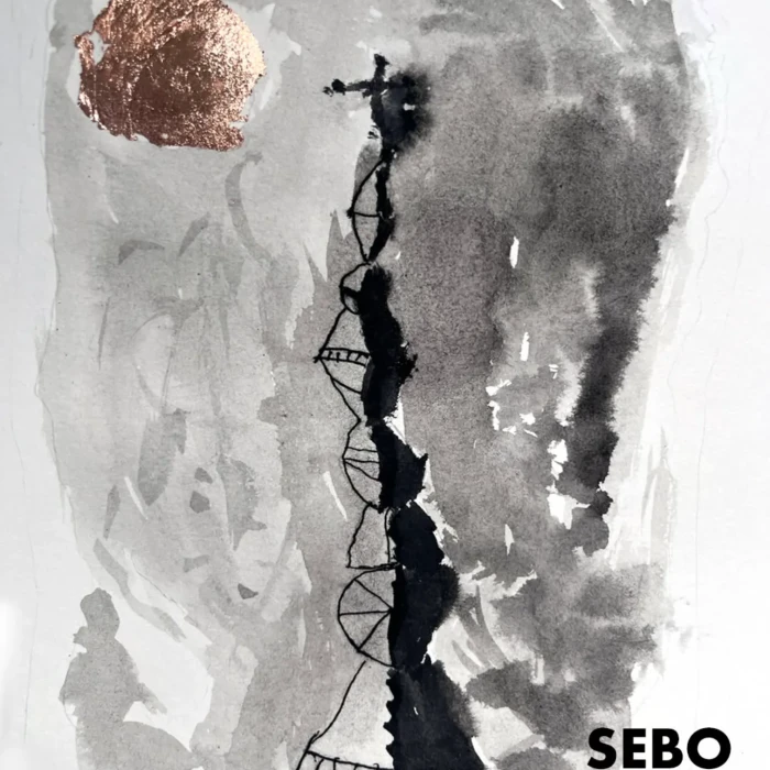 Sebo