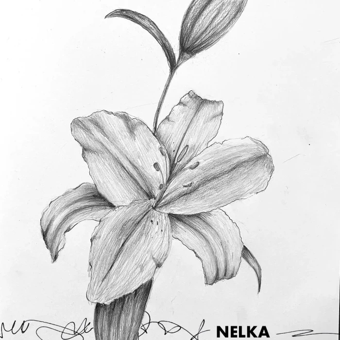 Nelka